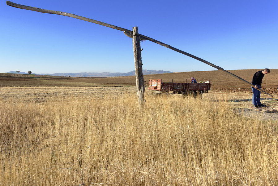Country Well